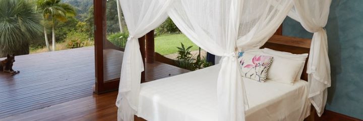 Top 10 Ways to Use Mosquito Nets - Tedderfield Premium Quality
